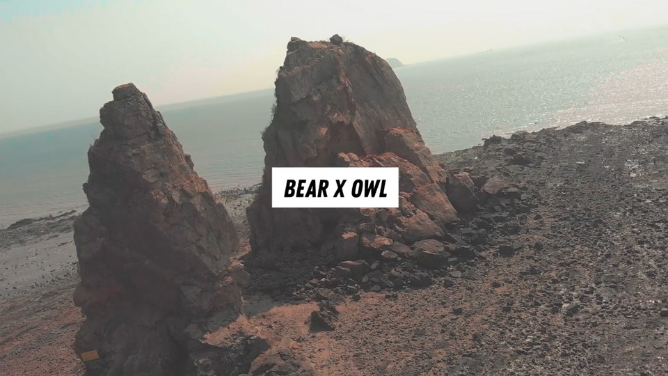 BEARXOWL Show Reel